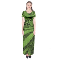 Marijuana Plants Pattern Short Sleeve Maxi Dress by dflcprints