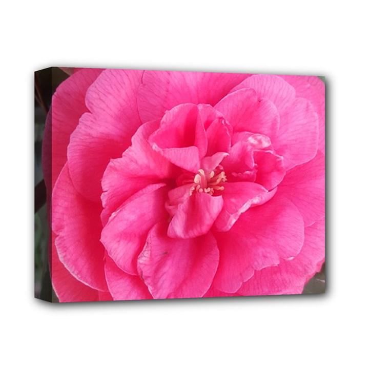 Pink Flower Japanese Tea Rose Floral Design Deluxe Canvas 14  x 11 