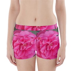 Pink Flower Japanese Tea Rose Floral Design Boyleg Bikini Wrap Bottoms by yoursparklingshop