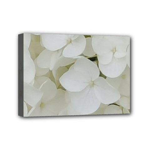 Hydrangea Flowers Blossom White Floral Elegant Bridal Chic Mini Canvas 7  X 5  by yoursparklingshop