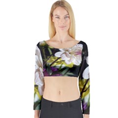 Dahlias Dahlia Dahlia Garden Long Sleeve Crop Top by Celenk