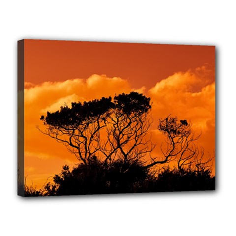 Trees Branches Sunset Sky Clouds Canvas 16  X 12  by Celenk