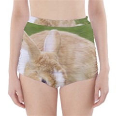 Beautiful Blue Eyed Bunny On Green Grass High-waisted Bikini Bottoms by Ucco