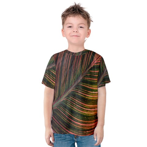 Leaf Colorful Nature Orange Season Kids  Cotton Tee by Celenk