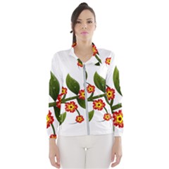 Flower Branch Nature Leaves Plant Wind Breaker (women)