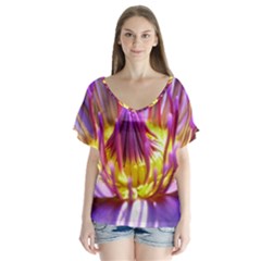 Flower Blossom Bloom Nature V-neck Flutter Sleeve Top by BangZart