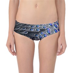 Feather Bird Bird Feather Nature Classic Bikini Bottoms by BangZart