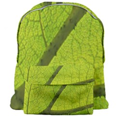 Green Leaf Plant Nature Structure Giant Full Print Backpack