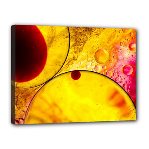Abstract Water Oil Macro Canvas 16  X 12  by Nexatart