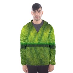 Leaf Nature Green The Leaves Hooded Wind Breaker (men)