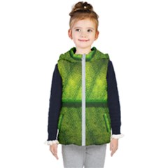 Leaf Nature Green The Leaves Kid s Puffer Vest by Nexatart