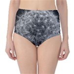 Dandelion Fibonacci Abstract Flower High-Waist Bikini Bottoms