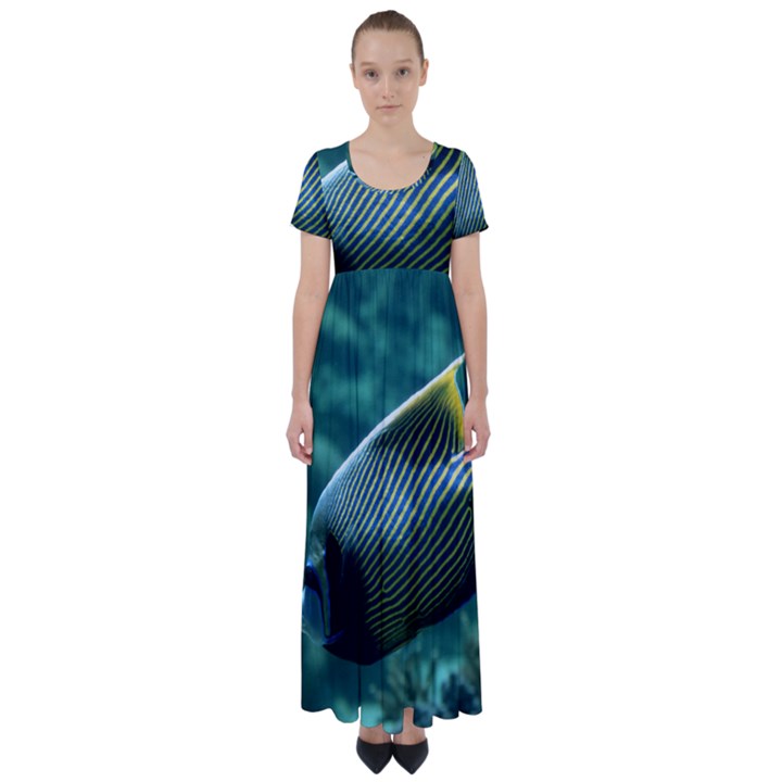 ANGELFISH 4 High Waist Short Sleeve Maxi Dress