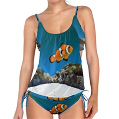 Clownfish 1 Tankini Set by trendistuff