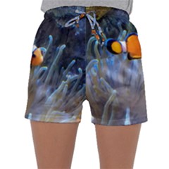 Clownfish 2 Sleepwear Shorts by trendistuff