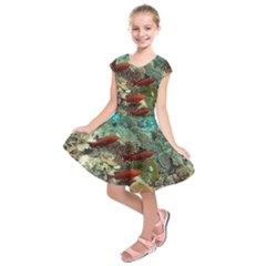 Coral Garden 1 Kids  Short Sleeve Dress by trendistuff