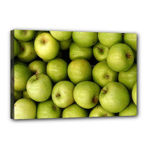 Apples 3 Canvas 18  X 12  by trendistuff