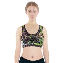 Elderberries Sports Bra With Pocket by trendistuff