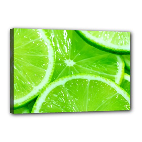 Limes 2 Canvas 18  X 12  by trendistuff