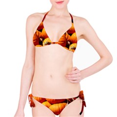 Pumpkins 3 Bikini Set by trendistuff