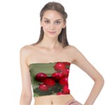 RED BERRIES 2 Tube Top