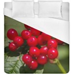 RED BERRIES 2 Duvet Cover (King Size)