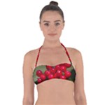 RED BERRIES 2 Halter Bandeau Bikini Top