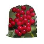 RED BERRIES 2 Drawstring Pouches (XXL)