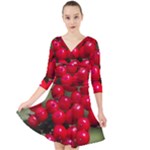 RED BERRIES 2 Quarter Sleeve Front Wrap Dress