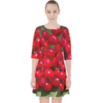 RED BERRIES 2 Pocket Dress