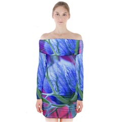 Blue Flowers With Thorns Long Sleeve Off Shoulder Dress by Sapixe