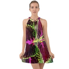 Plant Purple Green Leaves Garden Halter Tie Back Chiffon Dress