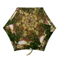 Highland Park 18 Mini Folding Umbrellas by bestdesignintheworld