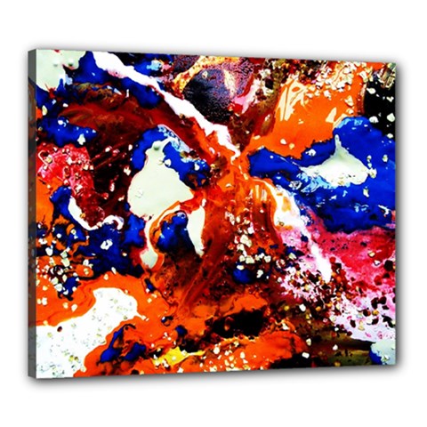 Smashed Butterfly 1 Canvas 24  X 20  by bestdesignintheworld