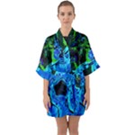 Dscf1604 - lady in blue kimono Quarter Sleeve Kimono Robe