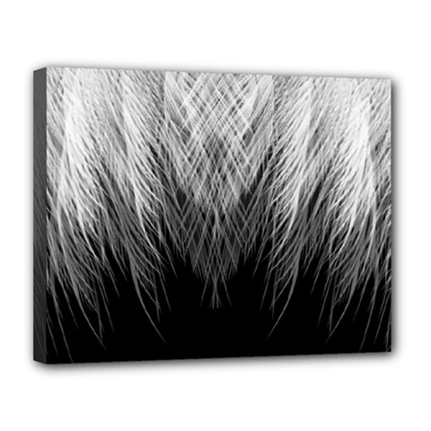 Feather Graphic Design Background Canvas 14  X 11  by Sapixe