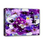 Graphic Background Pansy Easter Deluxe Canvas 16  x 12  