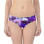 Graphic Background Pansy Easter Hipster Bikini Bottoms