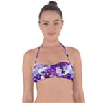 Graphic Background Pansy Easter Halter Bandeau Bikini Top