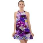 Graphic Background Pansy Easter Halter Tie Back Chiffon Dress