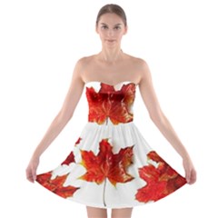 Innovative Strapless Bra Top Dress by GlobidaDesigns