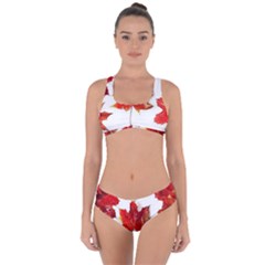 Innovative Criss Cross Bikini Set by GlobidaDesigns