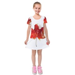Innovative Kids  Short Sleeve Velvet Dress by GlobidaDesigns