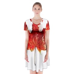 Innovative Short Sleeve V-neck Flare Dress by GlobidaDesigns