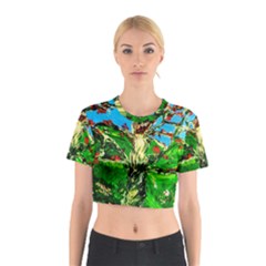 Coral Tree 2 Cotton Crop Top by bestdesignintheworld