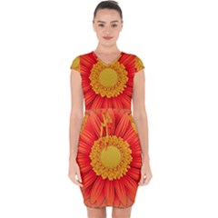 Flower Plant Petal Summer Color Capsleeve Drawstring Dress  by Sapixe