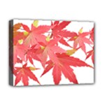 Leaves Maple Branch Autumn Fall Deluxe Canvas 16  x 12  