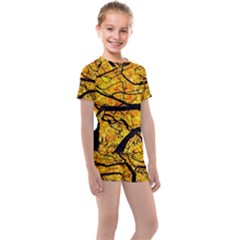 Golden Vein Kids  Swim Tee And Shorts Set by FunnyCow