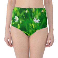 Inside The Grass Classic High-waist Bikini Bottoms