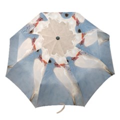 Doves In Love Folding Umbrellas by FunnyCow